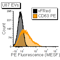 2_CD63+PE+antibody+vFC+U87+EV+1P
