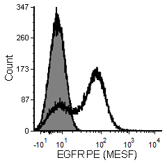 3_EGFR+PE+Difi+1P+221207