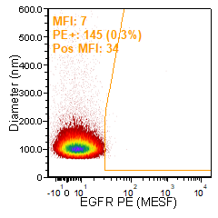 4_EGFR+PE+Lipo+2P+221207