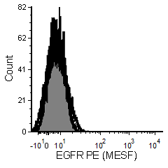 5_EGFR+PE+Lipo+1P+221207